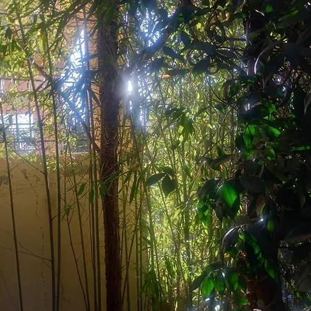 Prázdninový dům Bamboo Garden *