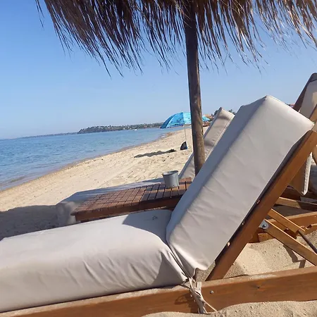 Bamboo Garden * Nea Iraklia