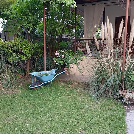 Bamboo Garden * Nea Iraklia