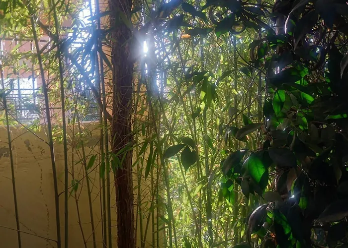 度假居 Bamboo Garden *