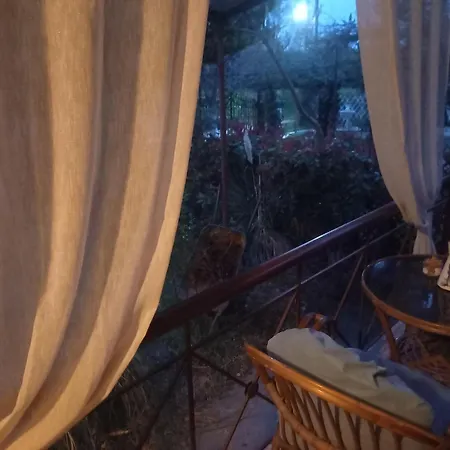 Bamboo Garden * 尼亚伊拉克利亚