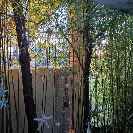Bamboo Garden *