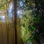 Сasa de vacaciones Bamboo Garden *