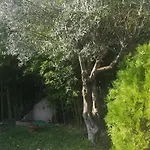 Bamboo Garden