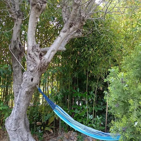Tatil Evi Bamboo Garden