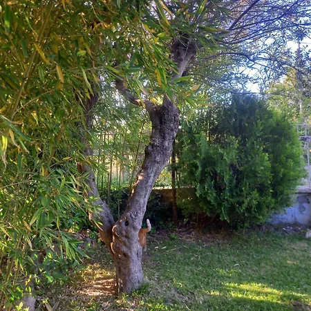 Case de vacanță Bamboo Garden *