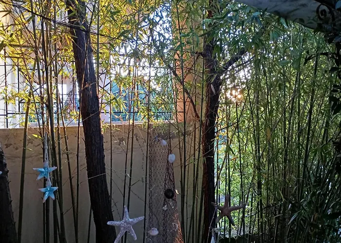 Bamboo Garden *