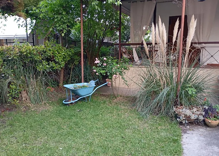 Bamboo Garden * Nea Irakleia